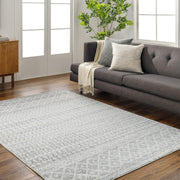 Living room | the rug in front of a charcoal sofa with a potted plant