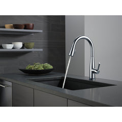 Essa Single Handle Kitchen Faucet in Arctic Stainless | product photo