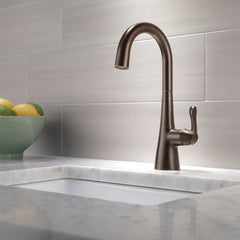 Transitional Single Handle Bar Faucet in Venetian Bronze | product photo