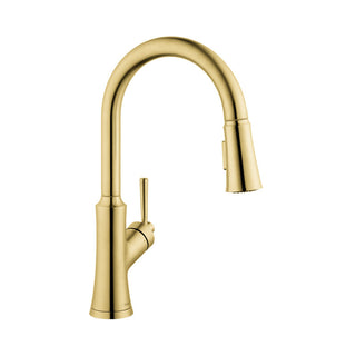 Joleena Pull Down Single Handle Kitchen Faucet in Brushed Gold Optic
