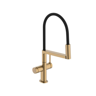 Talis N Semi-Pro PowderSpray Kitchen Faucet 1.75 GPM in Bronze