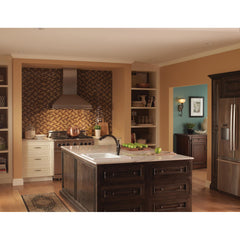 Linden Pull Out Single Handle Kitchen Faucet with Accessories in Venetian Bronze | product photo