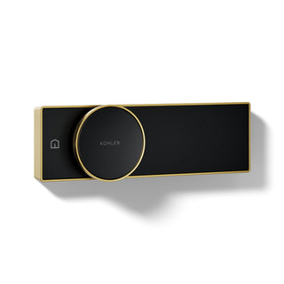 Anthem Digital Shower Control