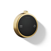 Anthem Duo Two-Outlet Shower Digital Control in Brushed Brass