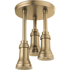 Pendant Full Rain Shower Head H2Okinetic® in Champagne Bronze | product photo