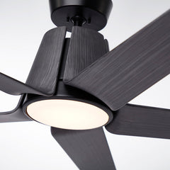 Ceiling Fan with LED Light, 60 Inch Solid Wood Blades, Black and Charcoal