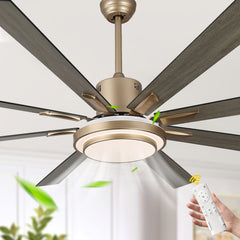 Ceiling Fan with Light, 72 Inch, 8 Reversible Wood Blades
