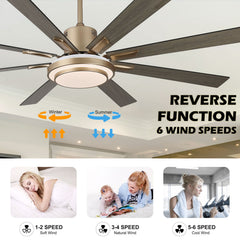 Ceiling Fan with Light, 72 Inch, 8 Reversible Wood Blades
