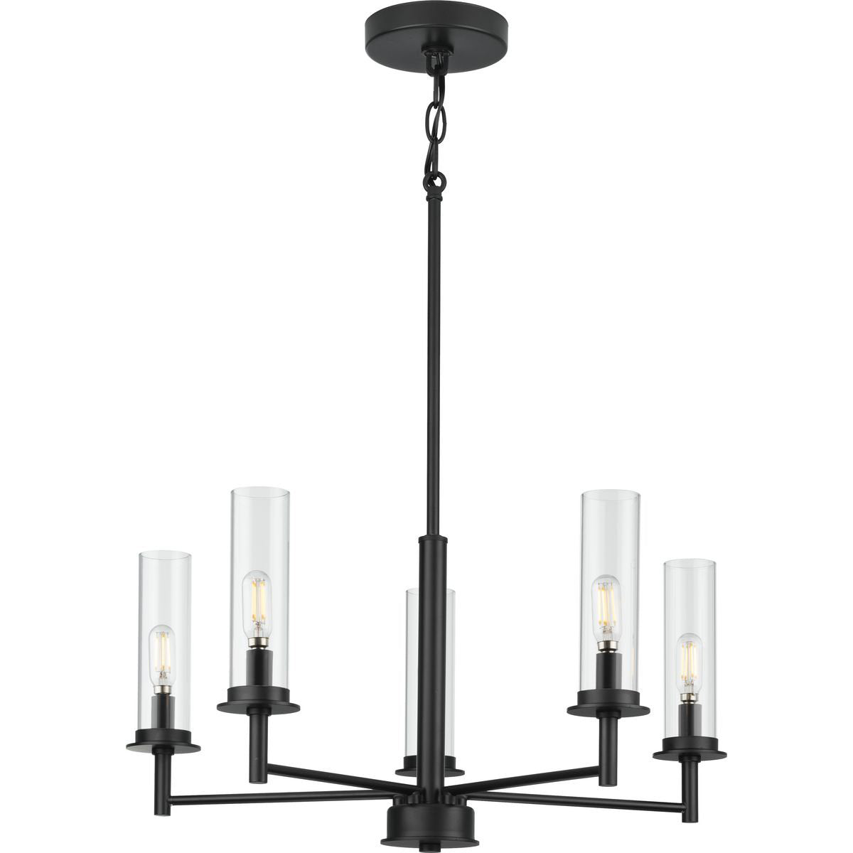 Chandelier, 5-Light Steel with Clear Glass Shades, Matte Black