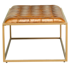 Coffee Table, Brown Buffalo Leather Top with Gold Iron Base