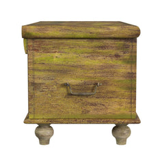 Coffee Table, Solid Mango Wood with Lockable Storage, Green and Brown