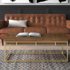 Coffee Table with Storage, Brown Wood Top with Gold Iron Base