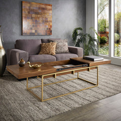 Coffee Table with Storage, Brown Wood Top with Gold Iron Base