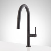 Aldridge Signature Bok Pull Down Single Handle Kitchen Faucet in Matte Black