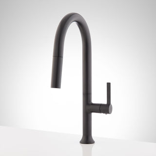 Aldridge Signature Bok Pull Down Single Handle Kitchen Faucet in Matte Black