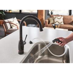 Noell Single-Handle Standard Kitchen Faucet with Side Sprayer in Mediterranean Bronze | product photo
