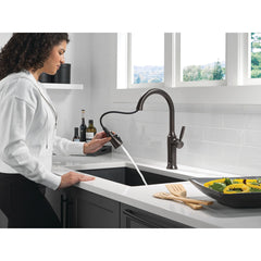 Renaldi Kitchen Faucet with Pull Down Sprayer in Venetian Bronze | product photo
