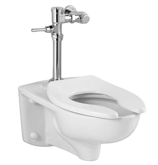 Afwall EverClean 1.6 GPF Elongated One-Piece Toilet (Seat Not Included)
