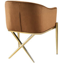 Dining Armchair, Saddle Velvet with Gold Metal Legs