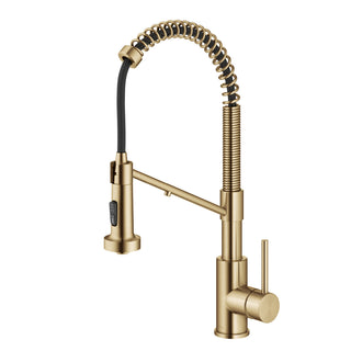Bolden 2-in-1 Commercial Style Pull-Down Single Handle Water Filter Kitchen Faucet for Reverse Osmosis or Water Filtration System in Brushed Brass