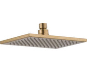 Fixed Shower Head in Champagne Bronze