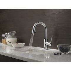 Trinsic Chrome Bar Sink Faucet with Pull Down Sprayer | product photo