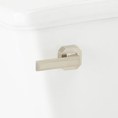 Benbrook 1.28 GPF Two Piece Elongated Toilet in Brushed Nickel | detail photo