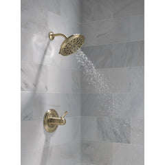 Rain Dual Shower Head with H2Okinetic Technology in Lumicoat Champagne Bronze | product photo