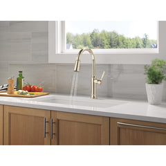 Renaldi Kitchen Faucet with Pull Down Sprayer in Lumicoat Polished Nickel | product photo