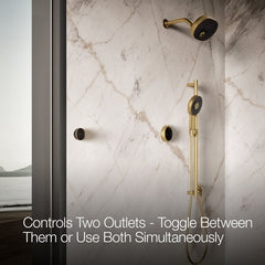 Anthem Duo Two-Outlet Shower Digital Control in Brushed Brass | product photo