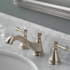 Cassidy™ Widespread Bathroom Faucet in Brilliance Stainless | product photo