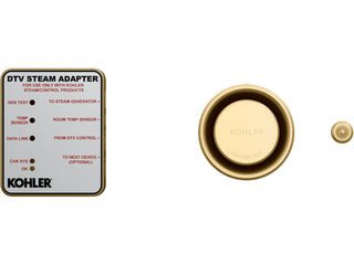 Steam Shower Adapter Kit in Brushed Moderne Brass