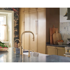 Sip Single Hole Cold Water Dispenser in Brushed Gold | product photo