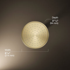 Traditional 8" 2.5 GPM Rain Shower Head in Vibrant French Gold | product photo