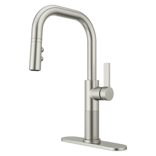 Pull Down Single Handle Kitchen Faucet in Stainless Steel