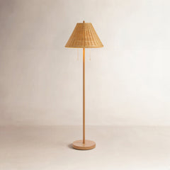 Floor Lamp, Brown Iron with Faux Rattan Shade