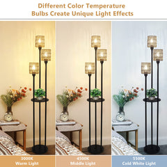 Floor Lamp with Shelves and Rattan Shade in Black