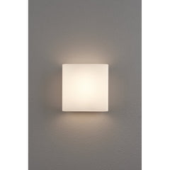 Flush Mounted Sconce, 1 Light, Frosted White Glass