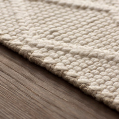 Hand-Woven Area Rug, 6 x 9 ft in Ivory Wool and Viscose