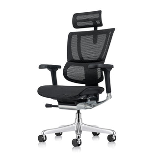 High Back Mesh Office Chair with Adjustable Headrest in Black