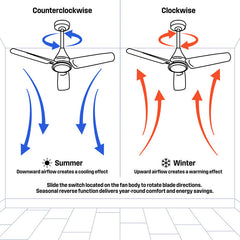 Hugger-Mount Ceiling Fan with 3-Light Kit and Frosted Glass Shades