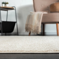 Indoor Area Rug, 7 ft 9 in x 10 ft 2 in with Cream and Beige Pattern