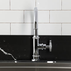 Kitchen Faucet, Levante, Single-Handle with Side Spray in Polished Chrome