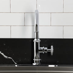 Kitchen Faucet, Ostro, Single Handle with Side Spray in Polished Chrome