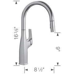 Kitchen Faucet, Rivana, High-Arc Pull-Down, Single Handle, Stainless