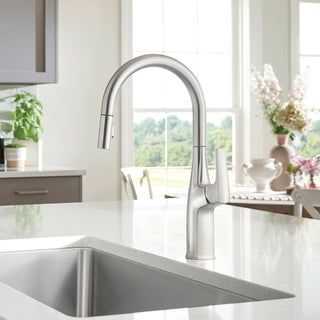 Kitchen Faucet, Rivana, High-Arc Pull-Down, Single Handle, Stainless