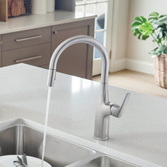 Kitchen Faucet, Rivana, High-Arc Pull-Down, Single Handle, Stainless
