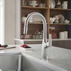 Kitchen Faucet, Rivana, High-Arc Pull-Down, Single Handle, Stainless