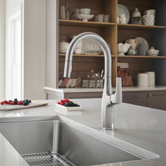 Kitchen Faucet, Rivana, High-Arc Pull-Down, Single Handle, Stainless