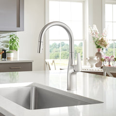 Kitchen Faucet, Rivana, High-Arc Pull-Down, Single Handle, Stainless